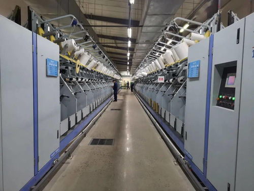 小船 再揚帆,何以破風(fēng)浪 簾子布公司以地毯絲廠為試點蹚出改革發(fā)展新路徑的啟示